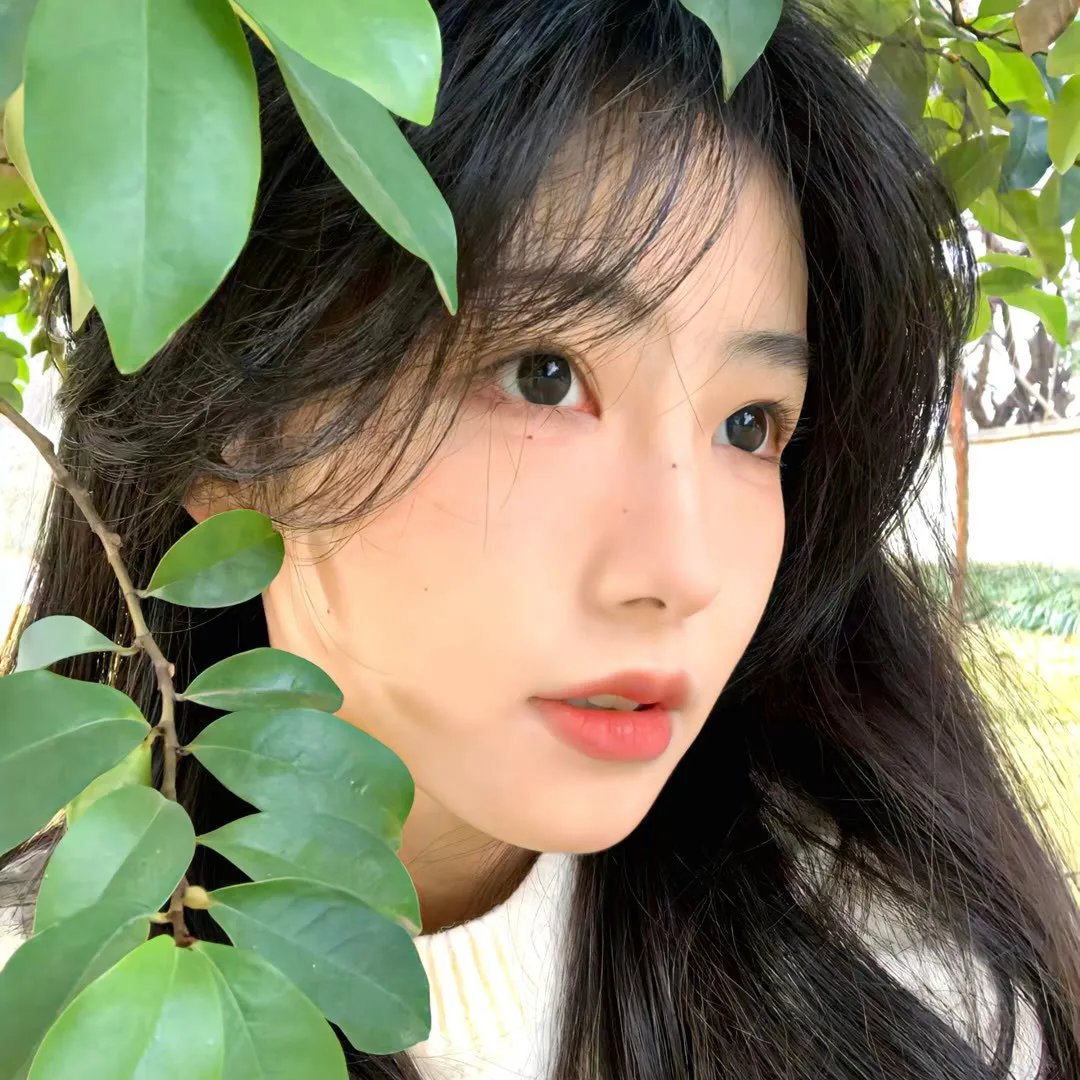 朱德元帅